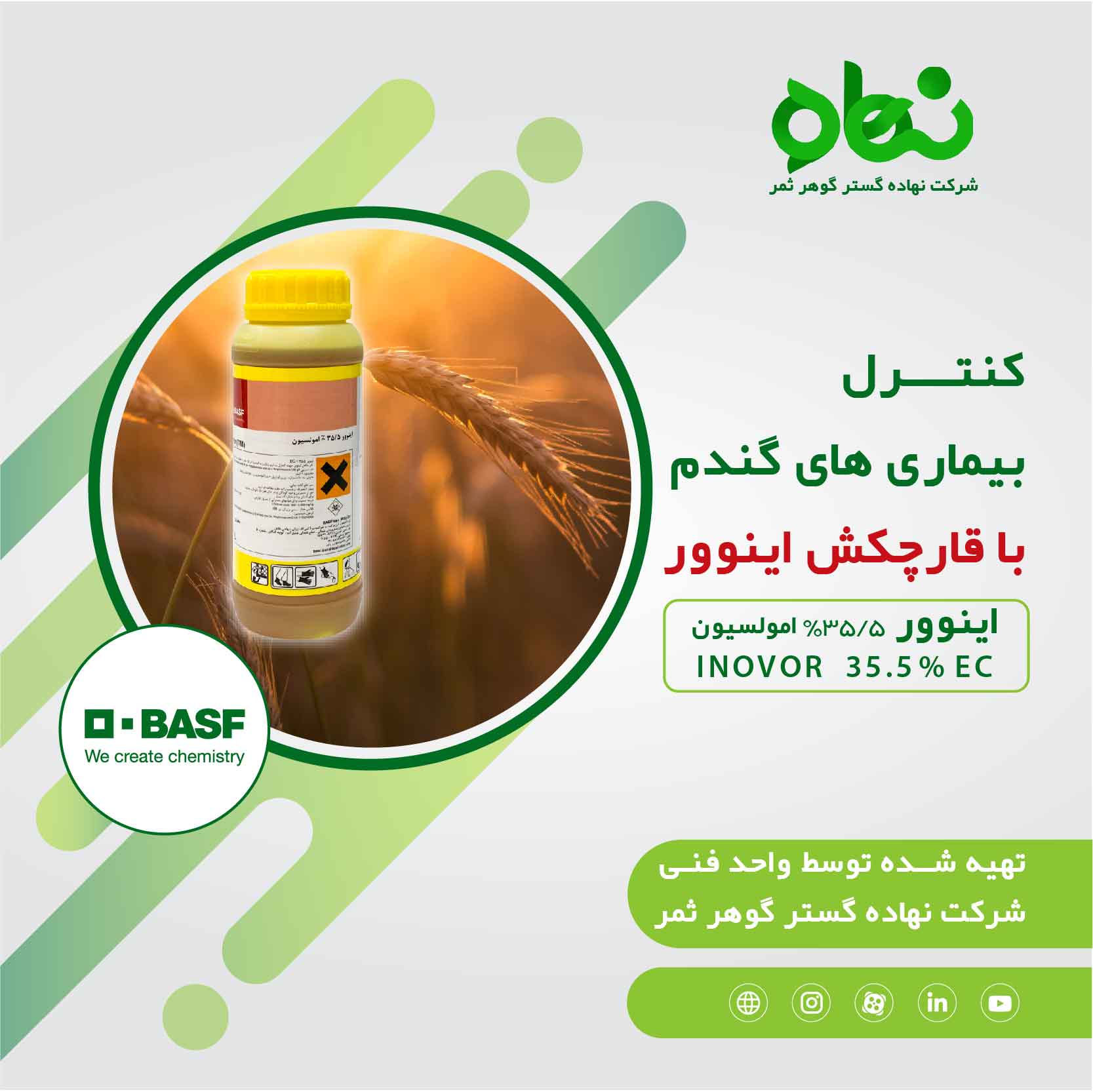 کنترل بیماری های گندم با قارچکش اینوور